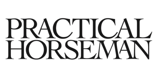 Practical Horseman